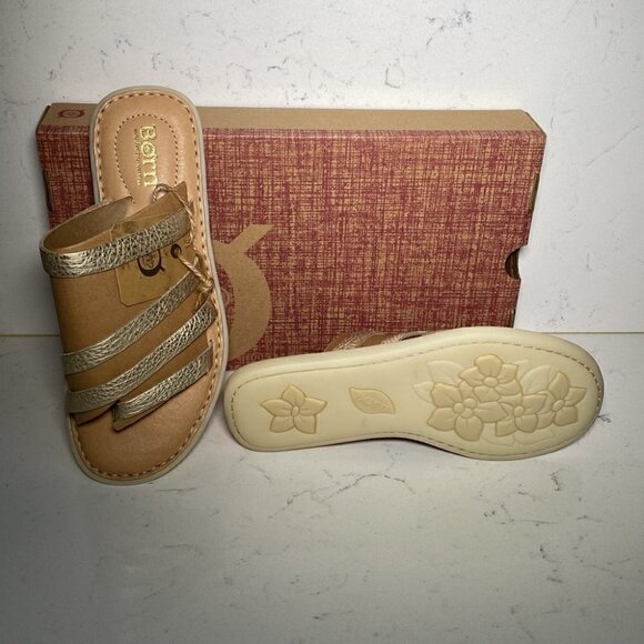 Born SASSAFRASS - Picture 4 of 5